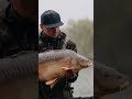 Рыбалка осенью это …. #рыбалка #carpfishing #карпфишинг #fishing2023 #fishing #fish