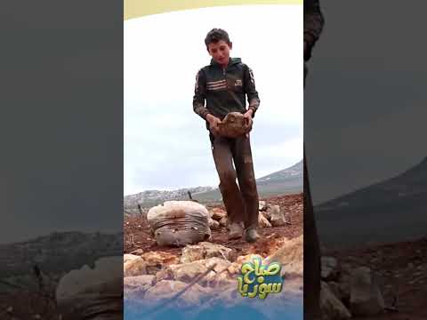 الطفل المثابر