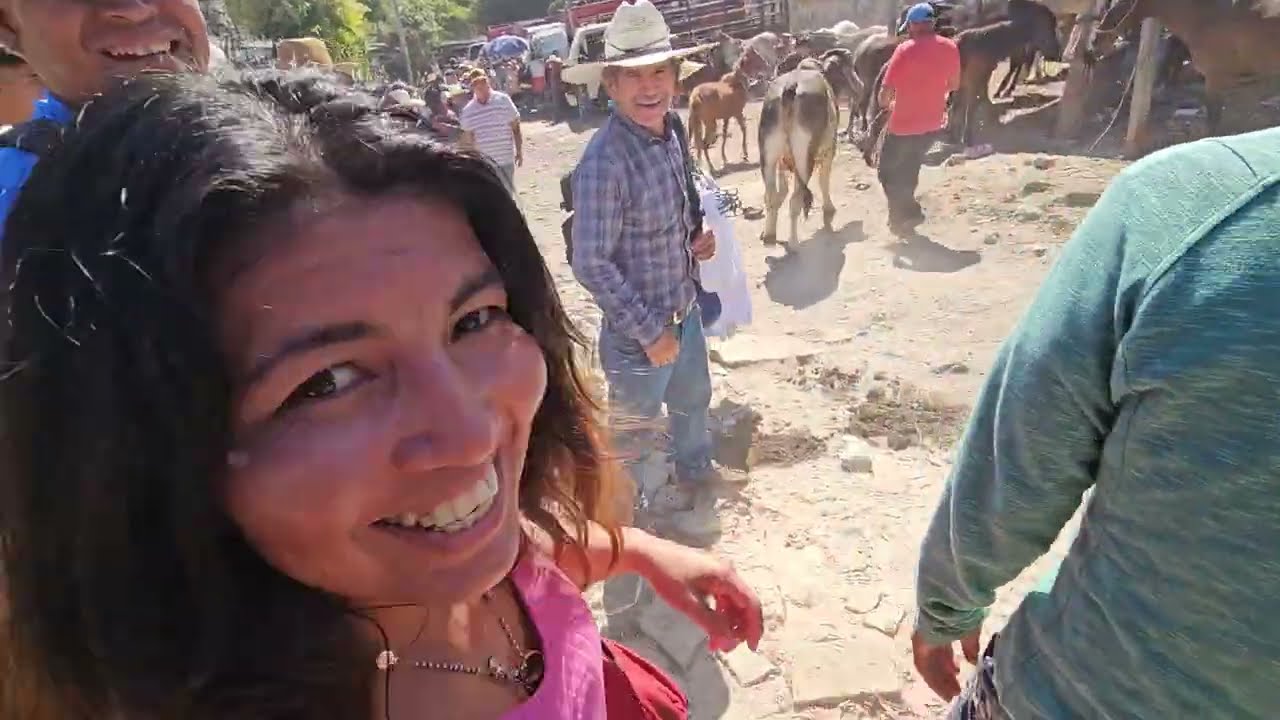precio de los animales🐐🦃🐓 en el tiangue de San Rafael Cedros DEPARTAMENTO DE CUSCATLÁN