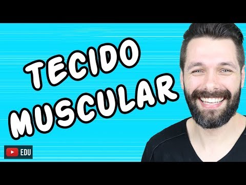 Vídeo: O Que é Tecido Muscular