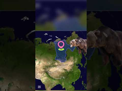 فتاة تائهه في الغابة مع كلبها اكسبلور Fpy Foryou