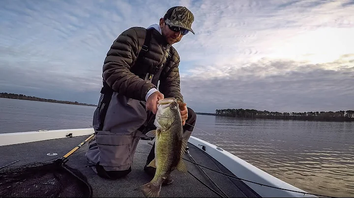 Warren and Thrift on Sam Rayburn