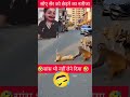 🤣 ये वीडियो देखकर हंसी नहीं रुकेगी 😂 | Try Not To Laugh | #shorts #funny  #viral