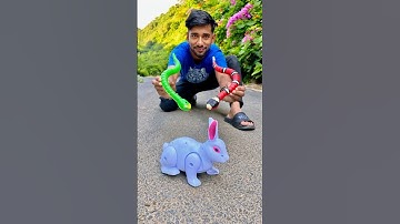 Duita RC Snake and akta Rabbit 👌😍