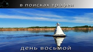 Поиски трофейной рыбы на юге области день восьмой