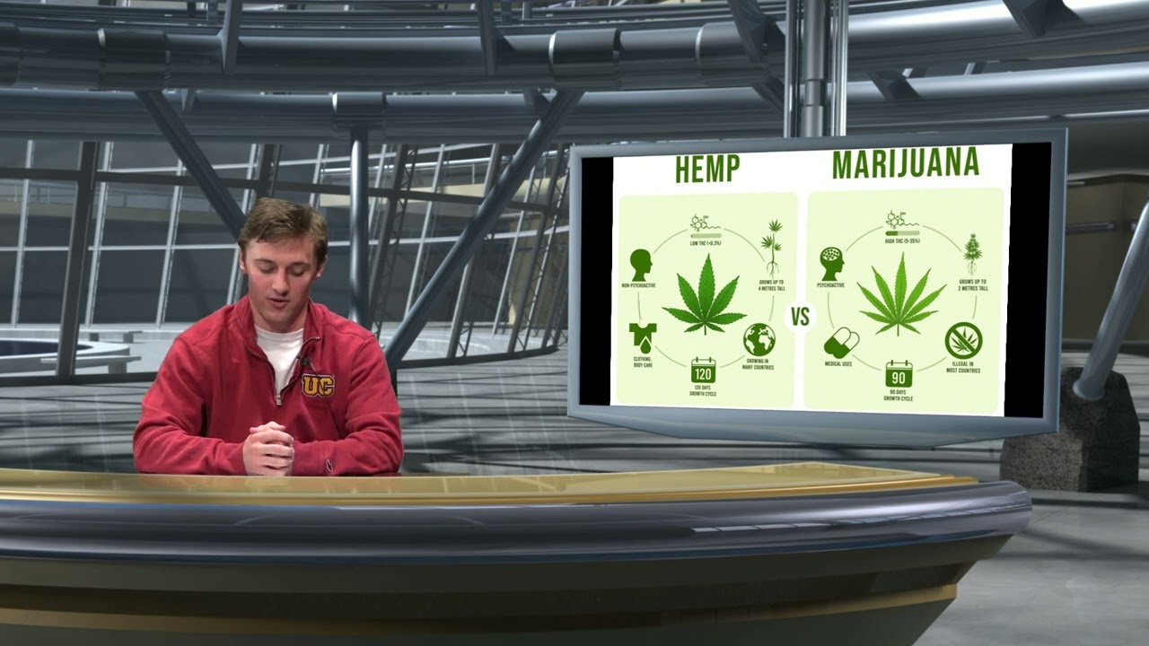 TalkBackTV  Anti-Marijuana Education in High School