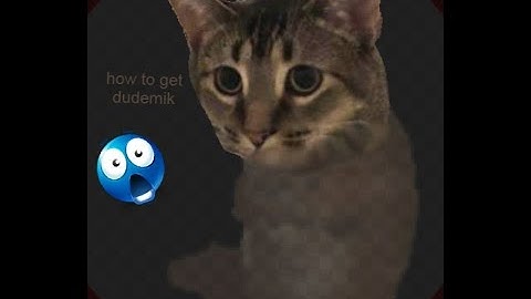 How to get Dudemik