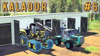 FS 19 - Поставил гараж для техники.  Поставил Свинарник.  Купил свиней - KALADOR фермер лесоруб # 6