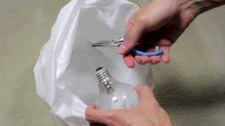 How To Make A Carnivorous Plant Terrarium Inside A Light Bulb