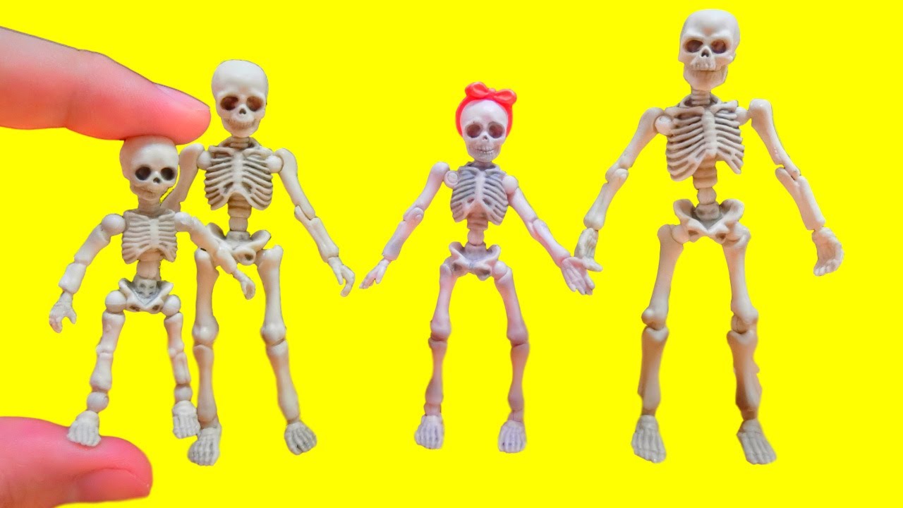 re ment skeleton