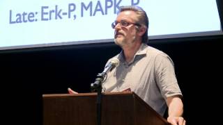 T cell dysfunction in HIV - Mario Ostrowski - 2014