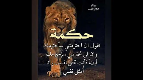 حكمة اليوم حكم وامثال قصص واقعية حكمة اليوم حكمه في قصه حكمه كلام اشتراك بالقناة 
