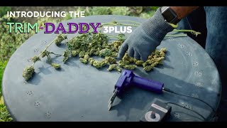 Meet Trim Daddy 3PLUS