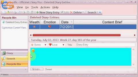 How to Use Efficient Diary Journal Software?