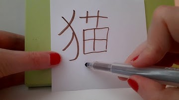 HSK 1 exam Vocabulary 猫 (mao) : MAO Basic Chinese level Stroke order Pronunciation hsk1 words ASMR