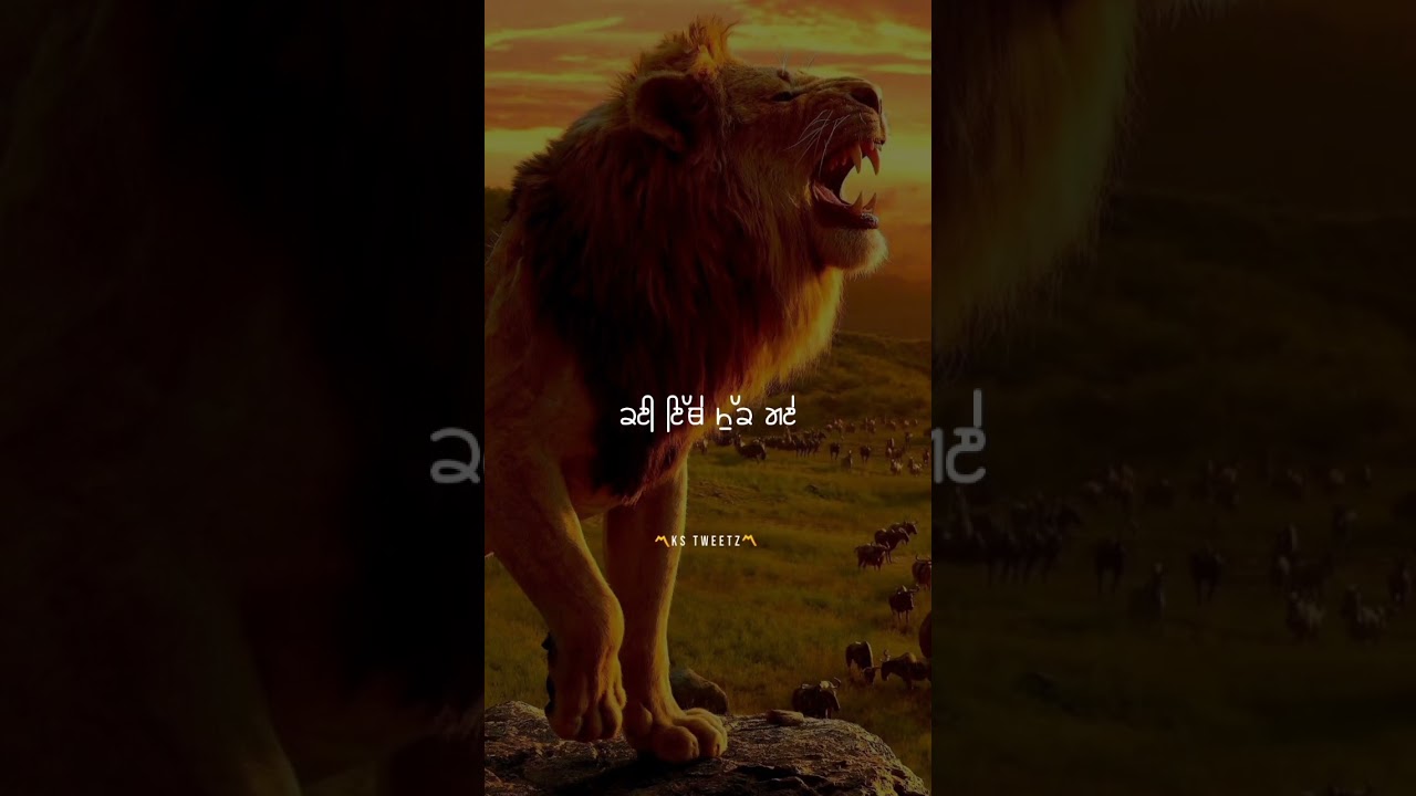 Velly || Nijjar Ft. Deepak Dhillon || New Song WhatsApp Status || Krish Sharma 