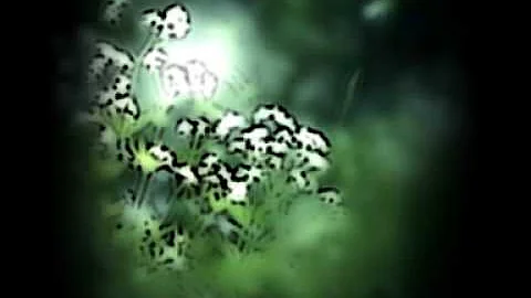 Christinan Wunderlich & Kirsten Hall - Forever Ton...