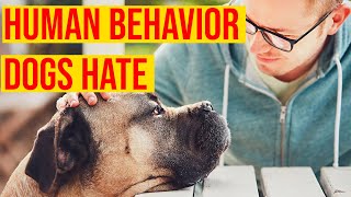 10 Human Behavior Dogs Hate And Wish You Stop Doing