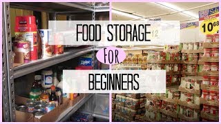 Food Storage  Stockpile Pantry For Beginners