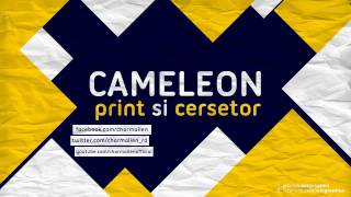 Video thumbnail of "Print si Cersetor - Cameleon feat. Luanna (mixtape)"