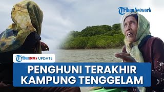 Perjuangan Mak Jah Penghuni Terakhir Kampung Tenggelam di Pesisir Demak, Rela Tanam Mangrove Sendiri