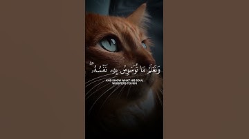 سورة ق ،❤❤ #راحة_نفسية