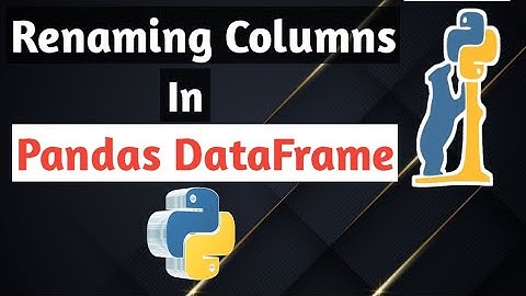 How to rename columns in Pandas || Pandas tutorial