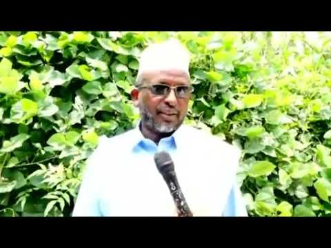 Caaqil Salsal Oo ka Hadlay Kulanka Madaxwayne Biixi Iyo Odayaasha Reer Awdal ku Dhex maray Borama