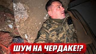 видео: Заброшенные места Орловской области | Колпнянский р/н с.Городецкое картинка: Заброшенные места Орловской области | Колпнянский р/н с.Городецкое