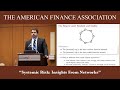 Systemic Risk: Insights From Networks