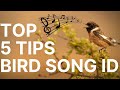 How to Learn Bird Songs - 5 Top Tips for Learning
