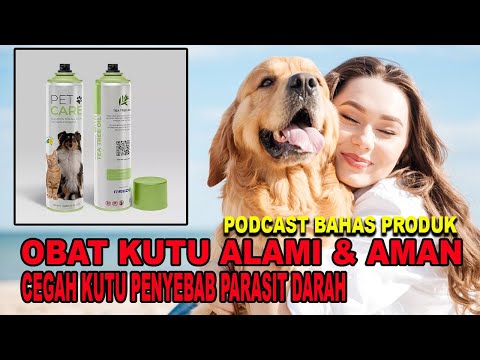 Video: Bagaimana Memilih Kerah Kutu Untuk Anjing Anda