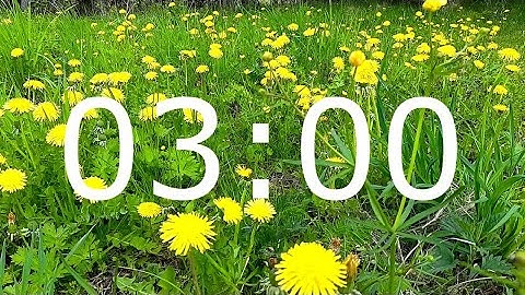 3 Minute Spring Timer with Relaxing Music and Flowers for Meditation