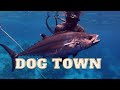 DOGTOWN! spearfishing Philippines