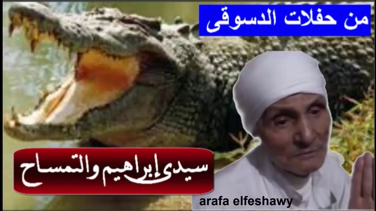 الشيخ عبد المعبود ذكر التمساح مع الطفل وابراهيم الدسوقى