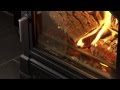 Wood Burning Stoves from Euroheat. Introduction.