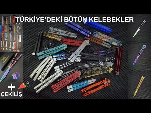 Video: Cornelia Parker tarafından kurulumlarda donmuş patlamalar