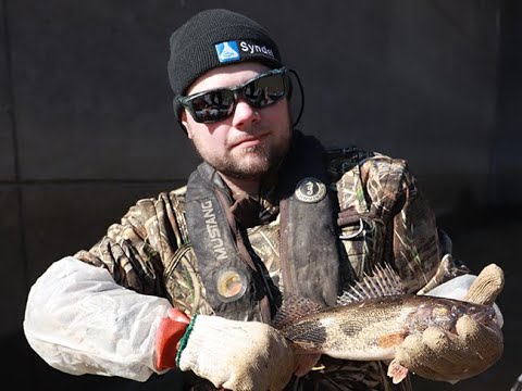 Sauger Brood Assortment