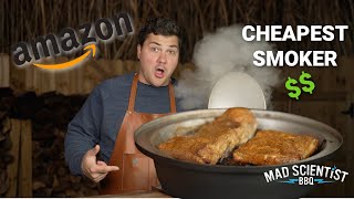 I Bought the Cheapest Smoker on Amazon. But How Does it Cook? by Mad Scientist BBQ 81,611 views 5 months ago 19 minutes