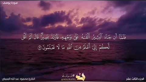 من سورة يوسف 94-98 بصوت الشيخ محمود المبيض
