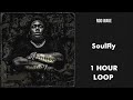 Rod Wave - SoulFly - 1 HOUR LOOP