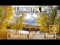 Exploring Livingston Montana & Fall colors - 4K City Walks - Virtual Travel Walking Treadmill Walk