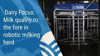 Milk quality to the fore in robotic milking herd