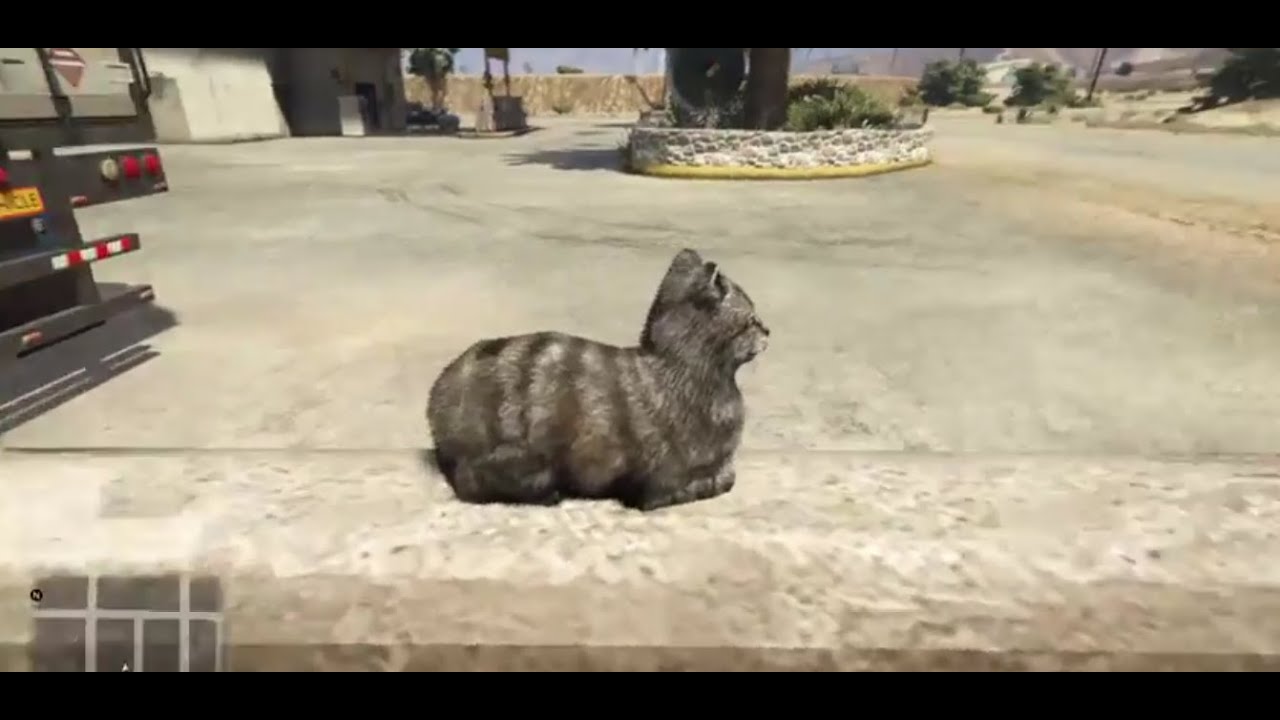 All animals in gta 5 фото 76