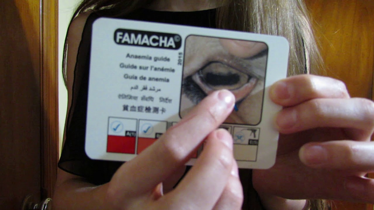 Buy Famacha Eye Chart