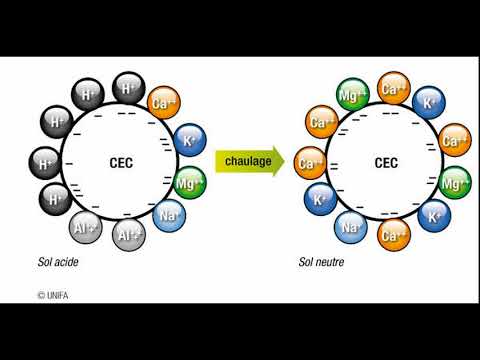 Vidéo: Le Dégel Du Pergélisol Induit Par Le Réchauffement Exacerbe La Décomposition Du Carbone Du Sol De La Toundra Médiée Par La Communauté Microbienne