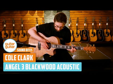 Cole Clark Angel 3 EC Blackwood/Blackwood #20028379