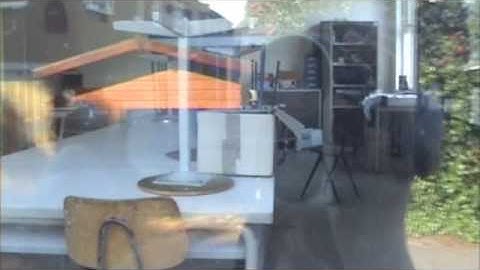 Vivarium #2 1st Participant