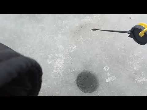 Проводки БЕЗМОТЫЛКИ уралка .