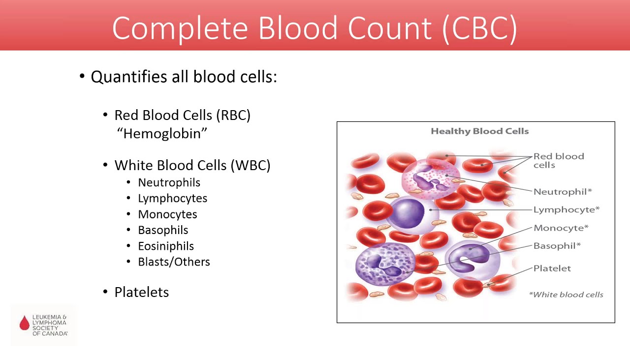 Complete Blood count. Complete Blood count Test. WBC in Blood Test. CBC Cell Counter.